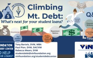 Overview of Loans in 2025