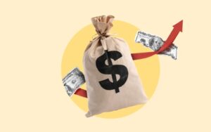 The Role of Regulation in Loans
